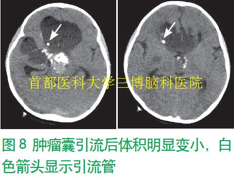 資料