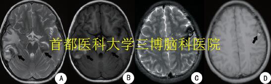 資料