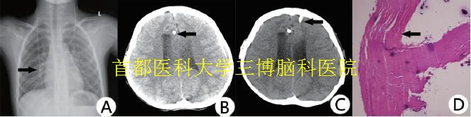 資料