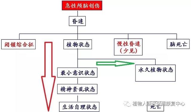 “植物人”真的無(wú)法醒過(guò)來(lái)嗎？這3種方法為昏迷促醒提供更多可能