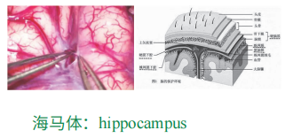 微信截圖_20210319111646.png